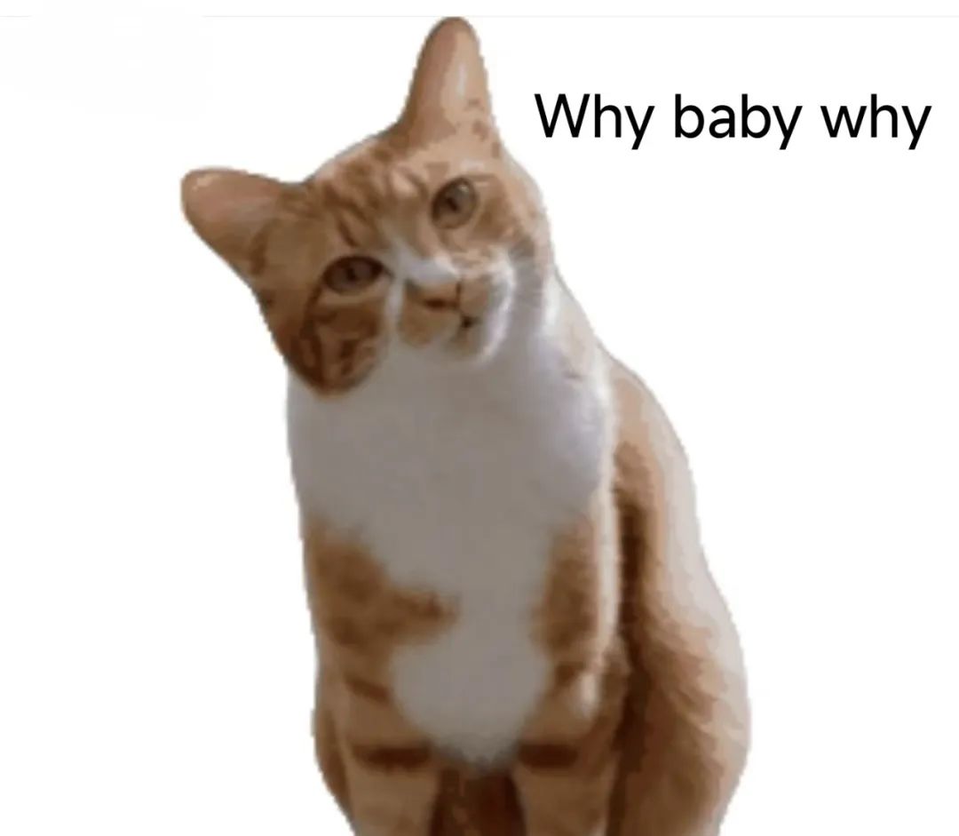 橘猫歪头疑惑脸，配文“Why baby why”尽显呆萌可爱 表情包:Why baby why表情包图片gif动图 - 求表情网,斗图从此不求人!