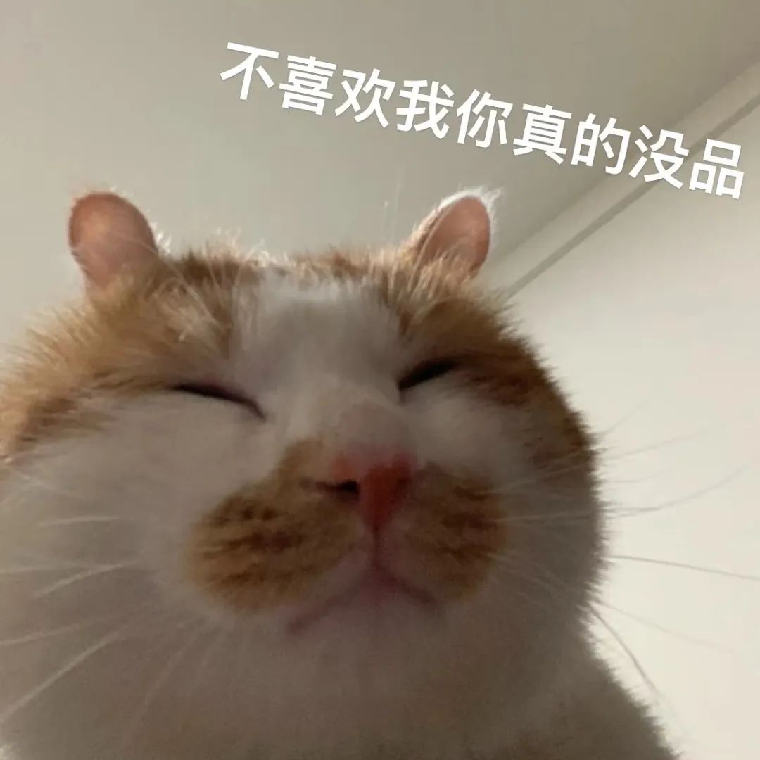 傲娇猫咪闭眼耍帅,配文“不喜欢我你真的没品”超可爱 表情包:你个红蛋表情包图片gif动图 - 求表情网,斗图从此不求人!