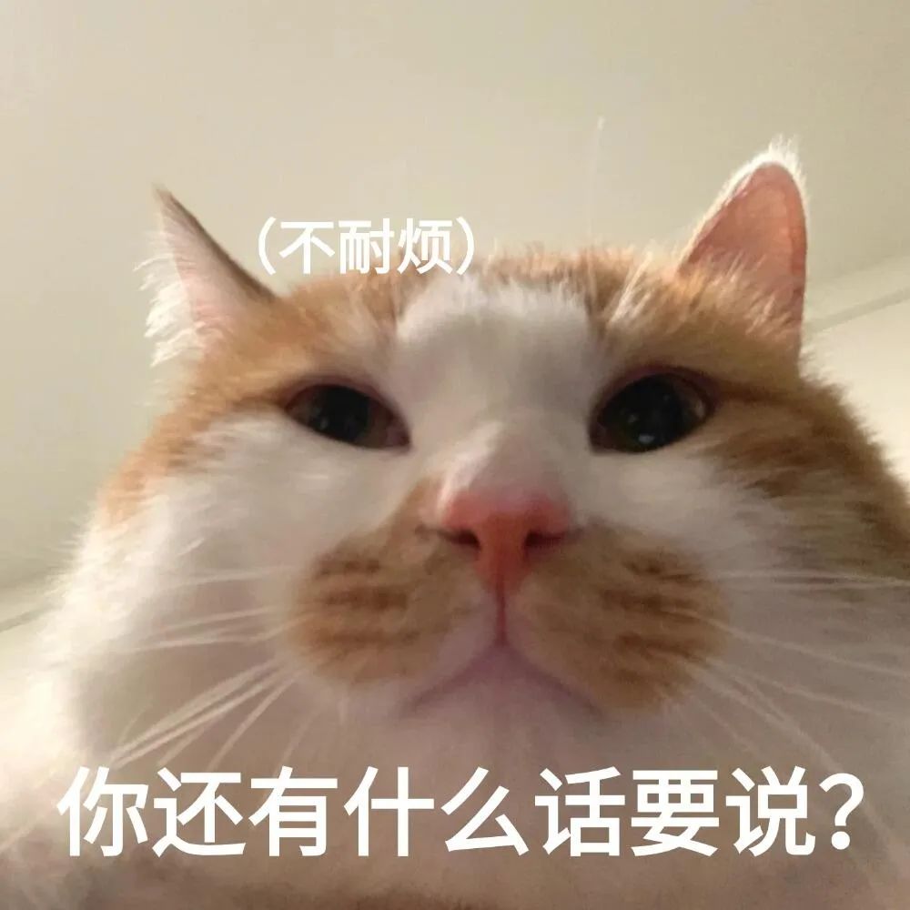 《不耐烦的猫咪:你还有什么话要说?》 表情包丨研究的尽头是玄学表情包图片gif动图 - 求表情网,斗图从此不求人!