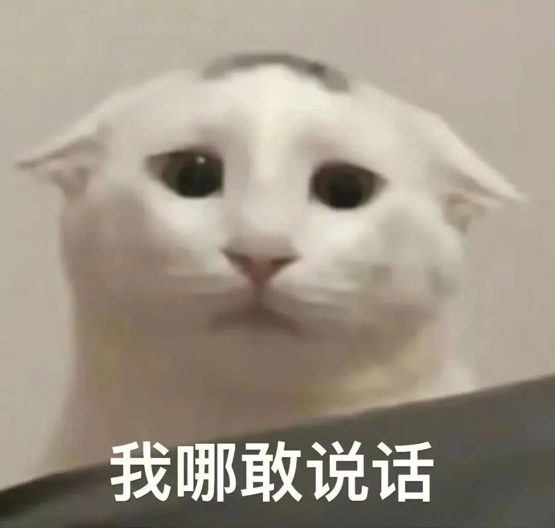 可爱猫咪委屈脸,配文“我哪敢说话”尽显无奈与乖巧 表情包|无语搞笑抽象表情包表情包图片gif动图 - 求表情网,斗图从此不求人!