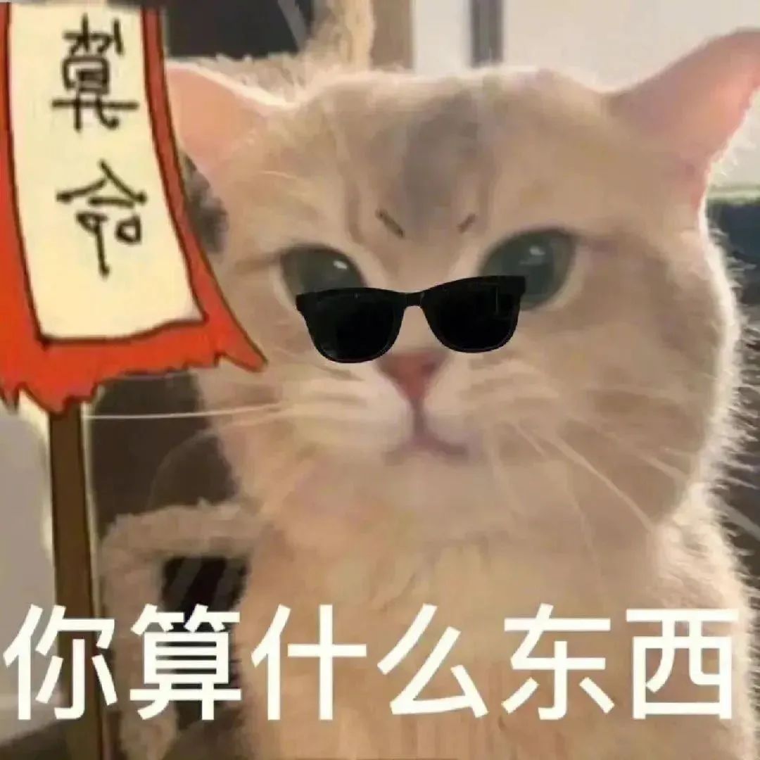 戴着墨镜的猫咪举着“革命”旗帜,配文“你算什么东西”超拽 表情包|日常互怼实用表情包Sticker GIF - Seeking an ...