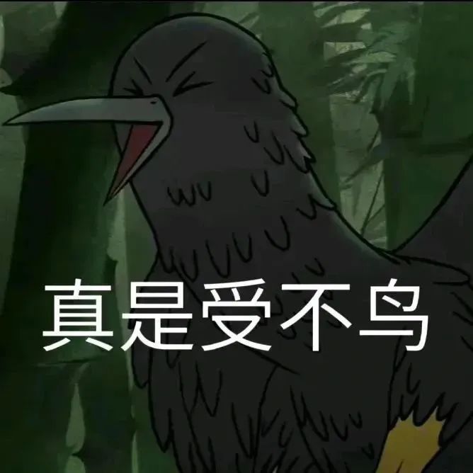 一只表情夸张的鸟,配文“真是受不鸟”,尽显无奈烦躁情绪 浪浪山小妖怪表情包合集表情包图片gif动图 - 求表情网,斗图从此不求人!