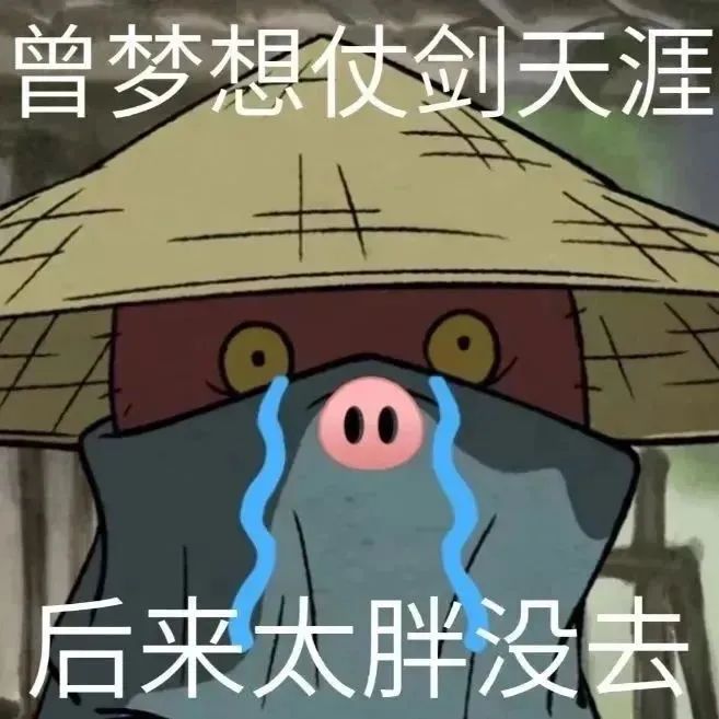 《曾梦想仗剑天涯,后来太胖没去》,可爱小猪的心酸自嘲 浪浪山小妖怪表情包合集表情包图片gif动图 - 求表情网,斗图从此不求人!