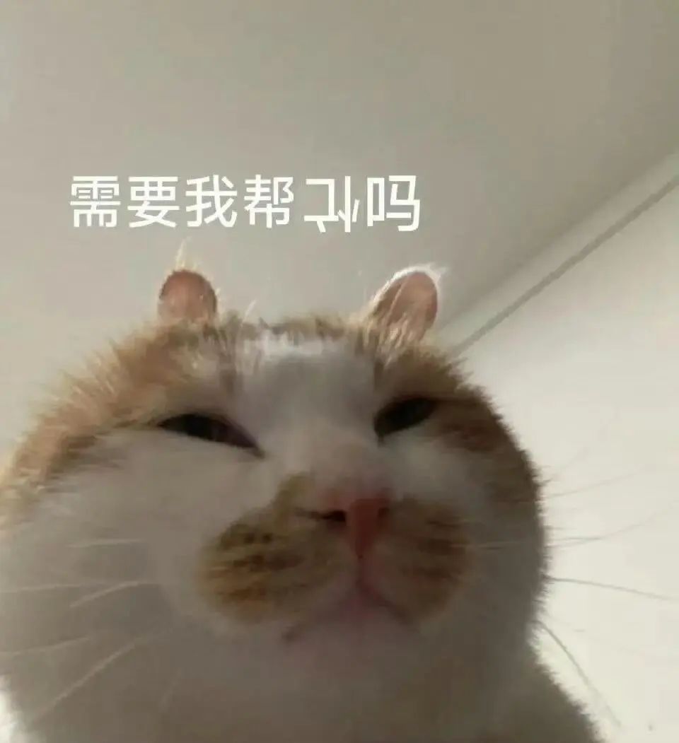 可爱猫咪眯眼表情,配文“需要我帮忙吗”的热心模样 表情包丨胖罐子 胖摔ˁ˙˟˙ˀ表情包图片gif动图 - 求表情网,斗图从此不求人!