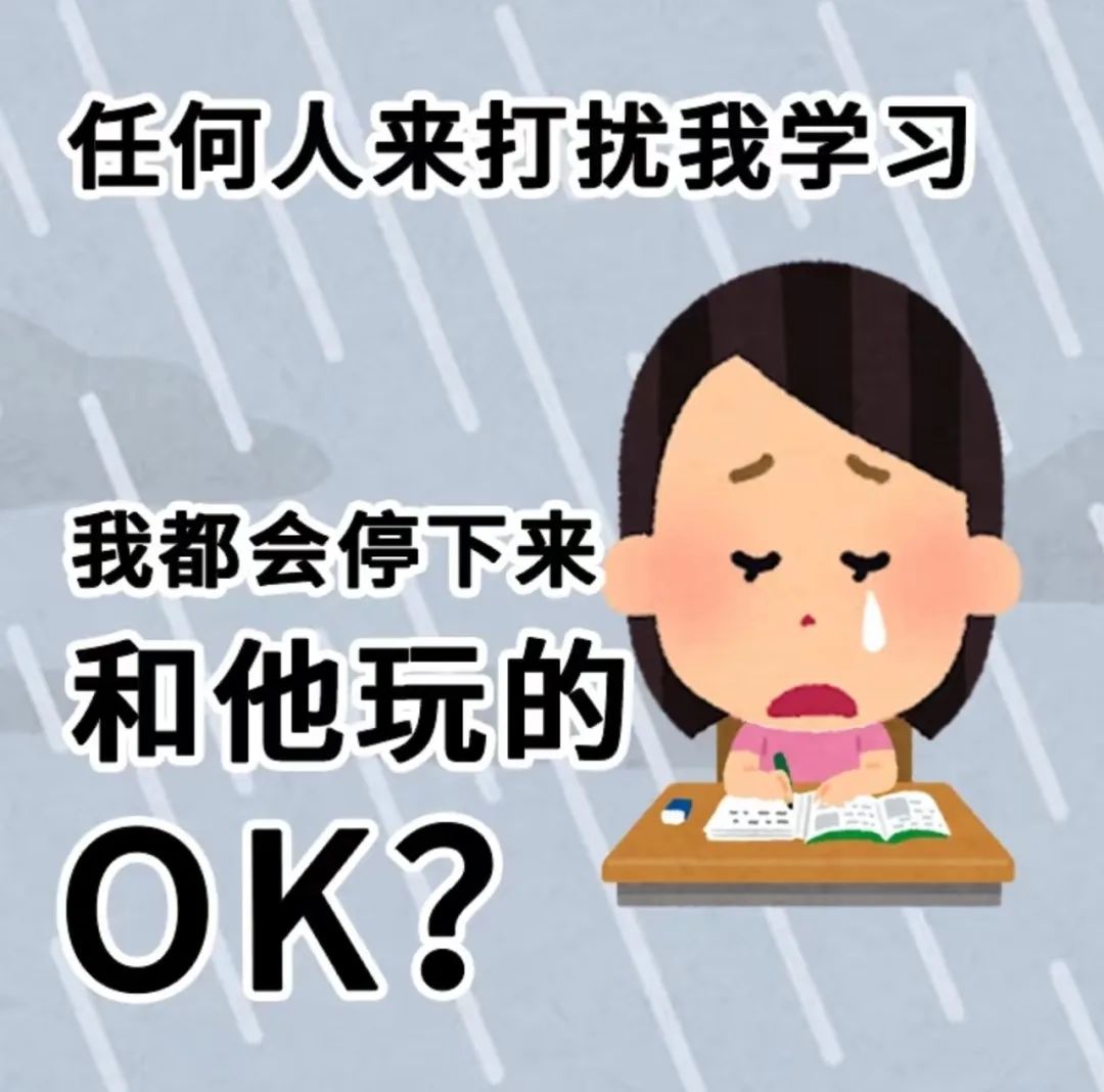 《含泪表示：任何人来打扰我学习我都会停下来和他玩的OK？》 表情包丨我的剧综搭子表情包图片gif动图 - 求表情网,斗图从此不求人!