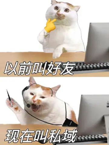 以前叫好友现在叫私域,猫咪表情演绎态度大转变 专属新媒体运营人表情包 表情包图片gif动图 - 求表情网,斗图从此不求人!