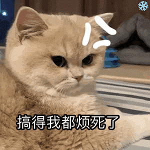 猫咪皱着眉一脸烦躁,配文“搞得我都烦死了”的可爱表情包 表情包|抽象表情包又丑又贱图表情包图片gif动图 - 求表情网,斗图从此不求人!