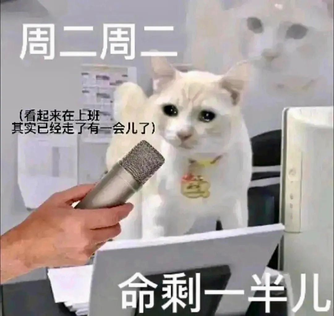 《周二周二,看起来在上班其实已经走了有一会儿了,命剩一半儿》 表情包丨这点钱我很难替你办事表情包图片gif动图 - 求表情网,斗图从此不求人!