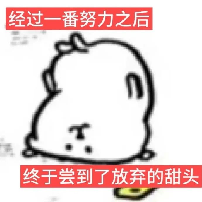 《经过一番努力之后终于尝到了放弃的甜头》可爱萌宠表情包 自嘲熊nagano梗图表情包 自嘲熊表情包表情包图片gif动图 - 求表情网,斗图从此不求人!