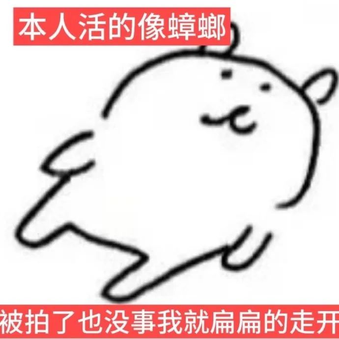 《本人活的像蟑螂,被拍了也没事我就扁扁的走开》 自嘲熊nagano梗图表情包 自嘲熊表情包表情包图片gif动图 - 求表情网,斗图从此不求人!