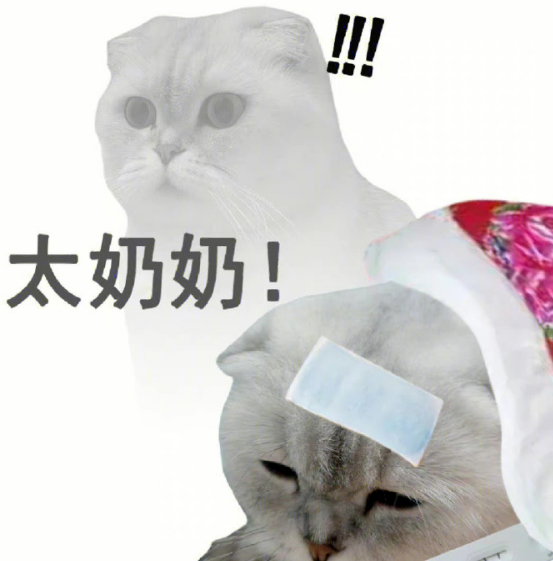 生病的猫咪头上贴着退热贴,虚弱呼喊“太奶奶”,令人心疼 表情包|周五周五 敲锣打鼓表情包图片gif动图 - 求表情网,斗图从此不求人!