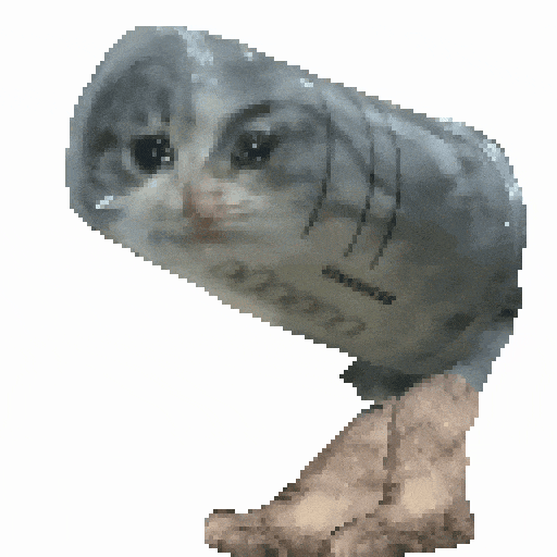 呆萌猫头鹰歪头杀，可爱模样让人忍不住想rua 抽象猫meme动态表情包表情包图片gif动图 - 求表情网,斗图从此不求人!