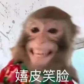 滑稽猴子的“嬉皮笑脸”,让人看了就忍不住想笑 这波猴子吗喽表情包太上头了表情包图片gif动图 - 求表情网,斗图从此不求人!