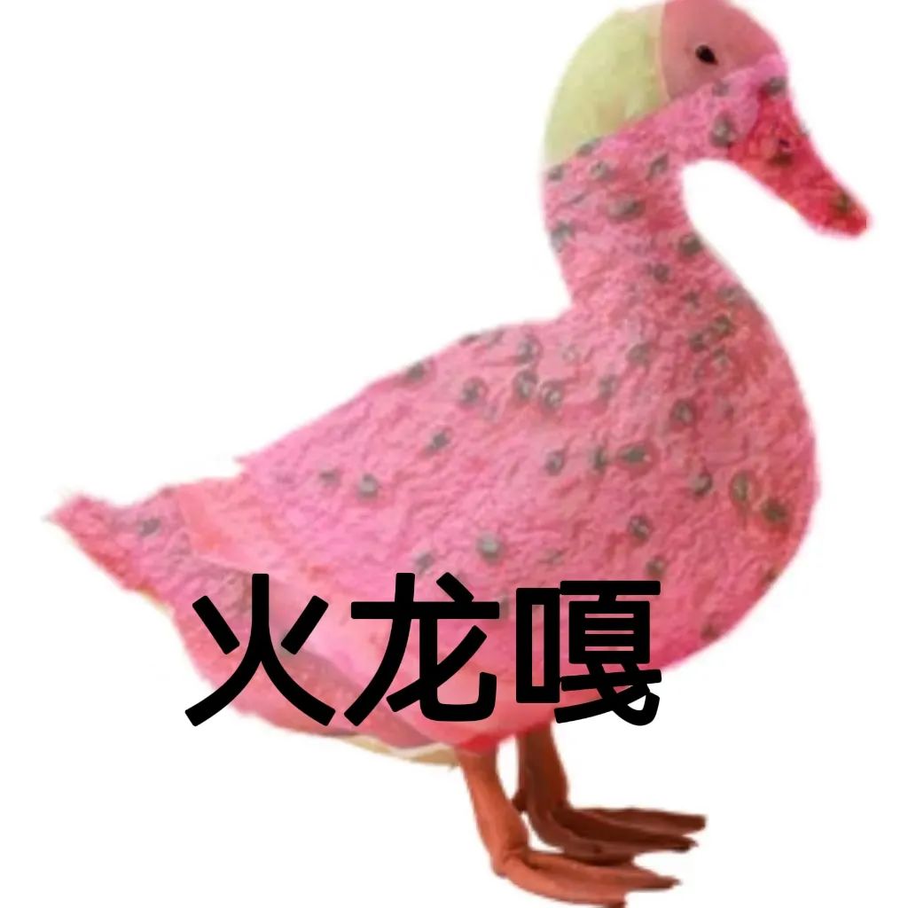 粉色装饰的鸭子玩偶，配上“火龙嘎”文字，可爱又有趣 嘎嘎鸭表情包表情包图片gif动图 - 求表情网,斗图从此不求人!