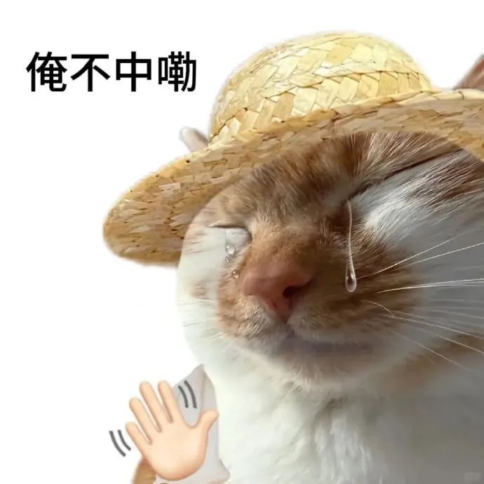 戴着草帽的猫咪流泪摆手,配文“俺不中嘞”尽显无奈 俺们老实人该用的鱼烧哥表情包 老实人表情包Sticker GIF - Seeking an ...