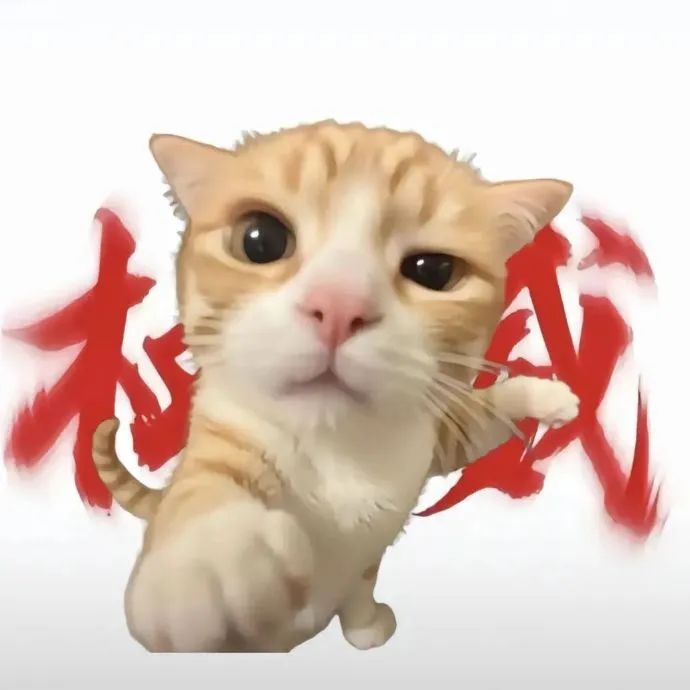 可爱橘猫配霸气红字“打我”，超有趣的猫咪表情包 给你一拳头的权威小猫表情包 表情包图片gif动图 - 求表情网,斗图从此不求人!
