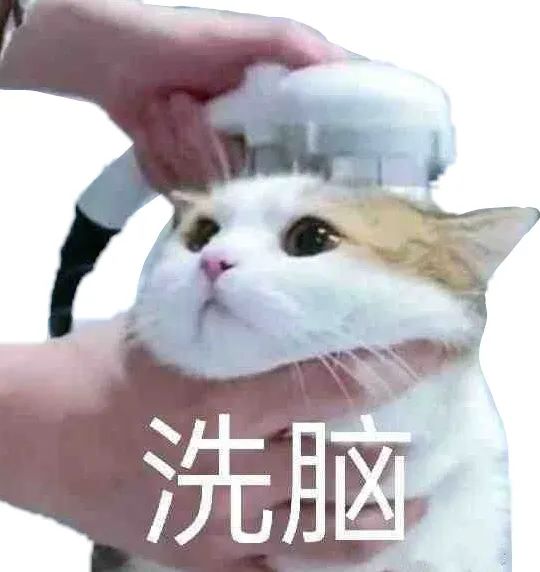 可爱猫咪被“洗脑”,一脸呆萌超有趣的表情包 抽象猫meme表情包表情包图片gif动图 - 求表情网,斗图从此不求人!