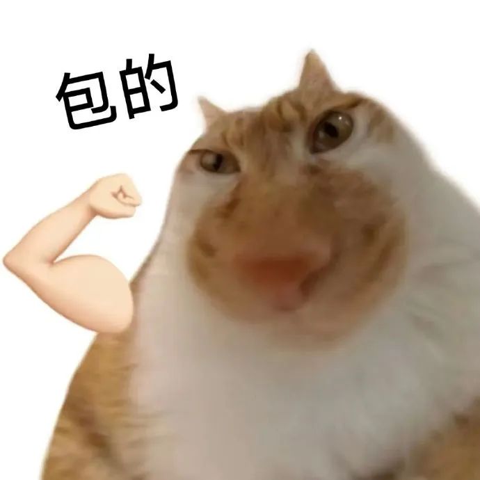 抽象猫meme表情包相关表情包,表情包专辑 - 求表情网,斗图从此不求人!