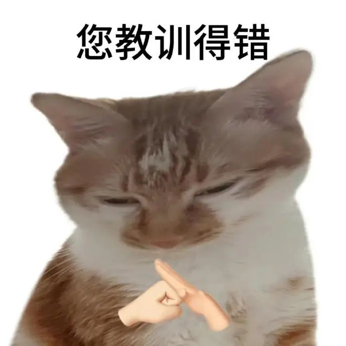 猫咪眯眼一脸不服，双手比叉表示“您教训得错”超搞笑 讨坏型人格表情包 猫咪表情包表情包图片gif动图 - 求表情网,斗图从此不求人!