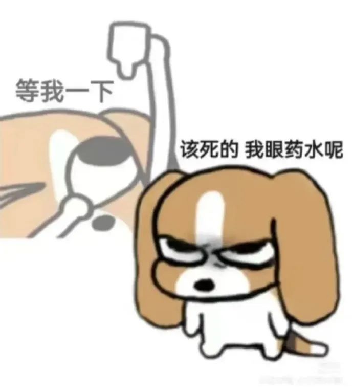《等我一下，该死的我眼药水呢》——可爱小狗的焦急找药表情包 邪恶小比格表情包表情包图片gif动图 - 求表情网,斗图从此不求人!