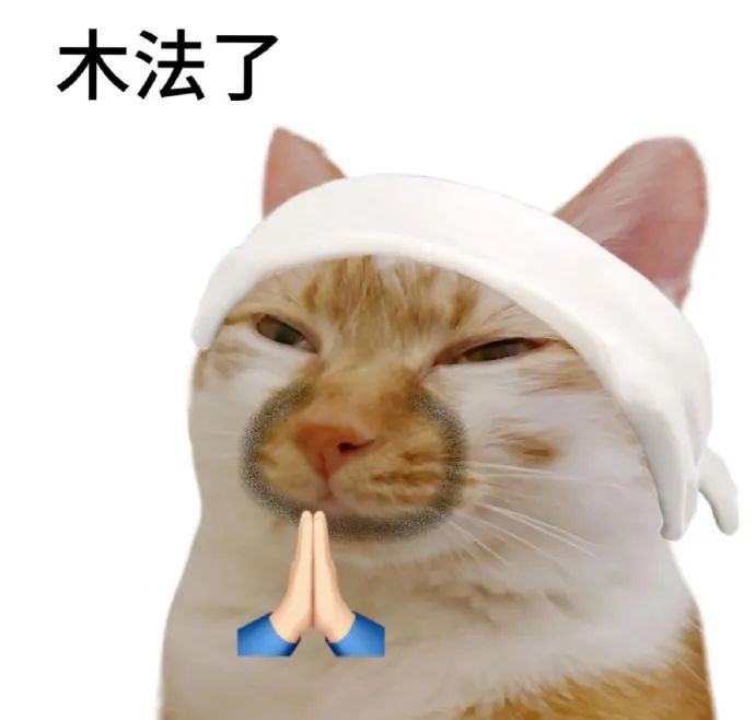 猫咪头戴白巾双手合十,配文“木法了”尽显无奈可爱 猫meme表情包【老实巴交版】 表情包图片gif动图 - 求表情网,斗图从此不求人!