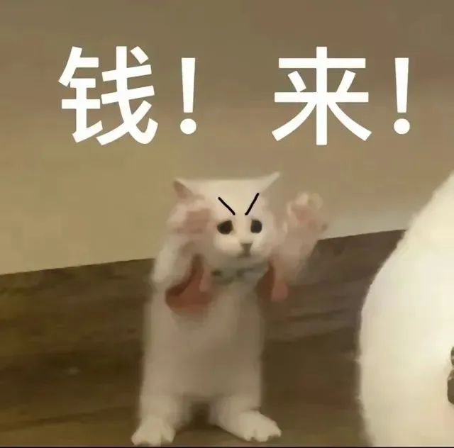 白猫皱眉举爪,霸气呼喊“钱!来!”求财运 抽象表情包:Hi,小虚崽子表情包图片gif动图 - 求表情网,斗图从此不求人!