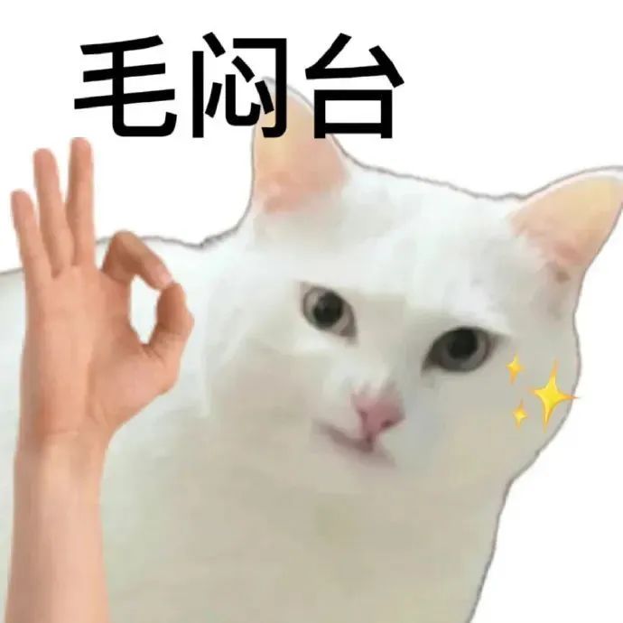 白猫OK手“毛闷台”,脸旁星星趣味足 白底小猫表情包 表情包图片gif动图 - 求表情网,斗图从此不求人!