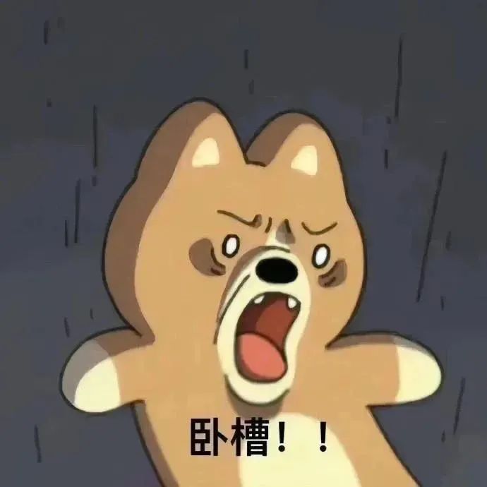 雨中卡通小狗张嘴大喊“卧槽!!”,情绪激动 聊天专用装傻表情包 表情包图片gif动图 - 求表情网,斗图从此不求人!