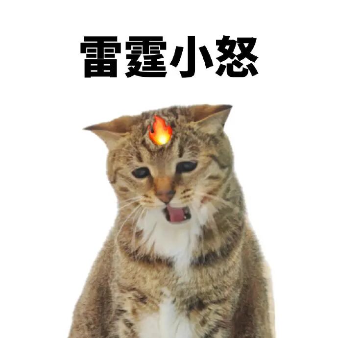 雷霆小怒的猫咪,头顶火焰张嘴 一组窝窝囊囊的求饶表情包表情包图片gif动图 - 求表情网,斗图从此不求人!