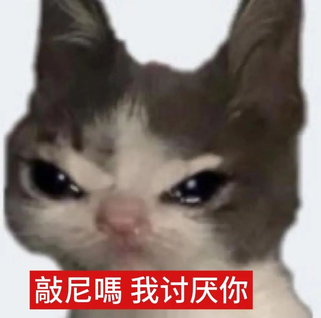 凶脸猫咪配“敲尼嗎 我讨厌你”，表达强烈厌恶 表情包丨老婆 呲溜~Meme GIF - MemeVerse, Never Lose a ...