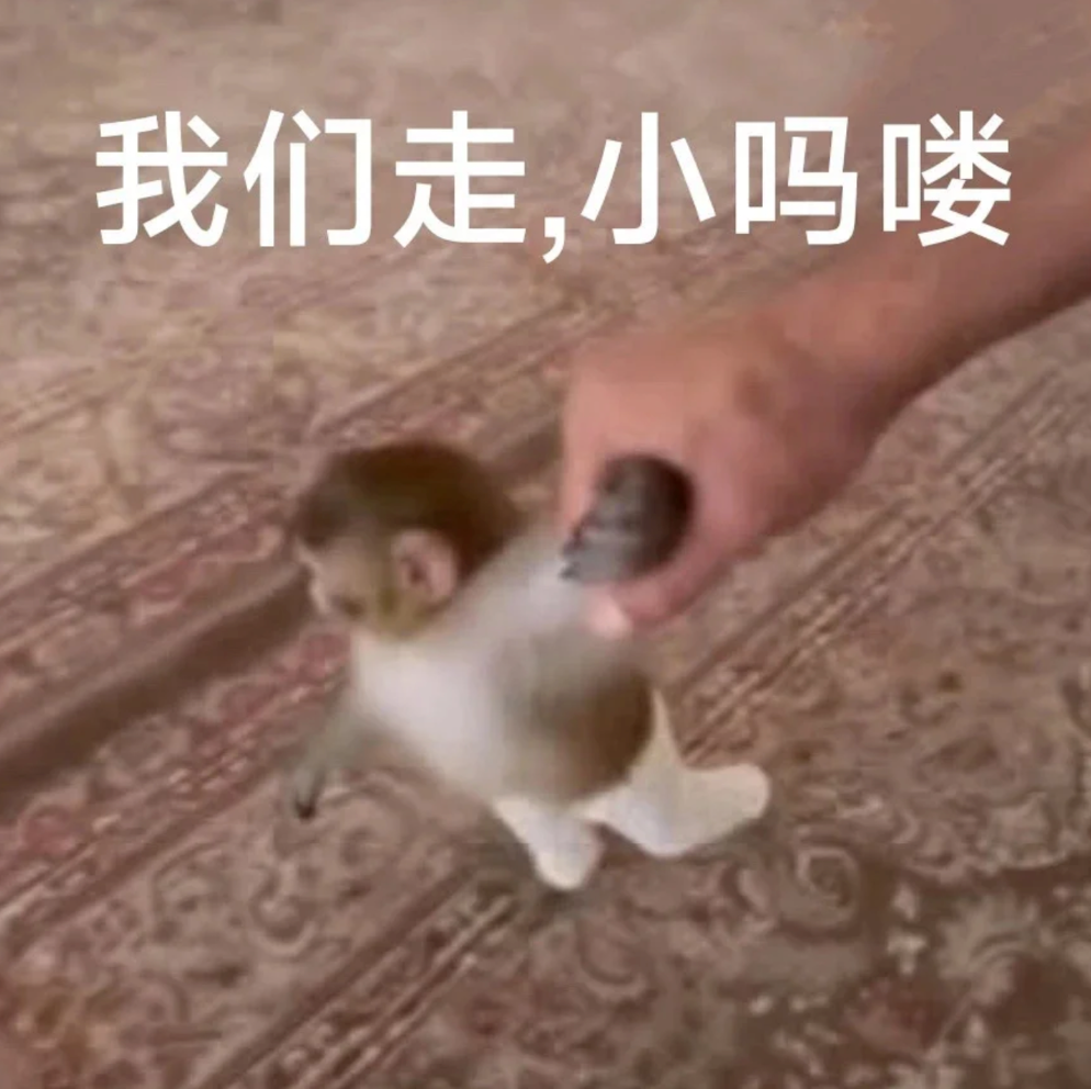 “我们走,小吗喽”牵穿袜小猴萌趣出行 表情包丨我找一车面包人弄你Meme GIF - MemeVerse, Never Lose a Meme ...