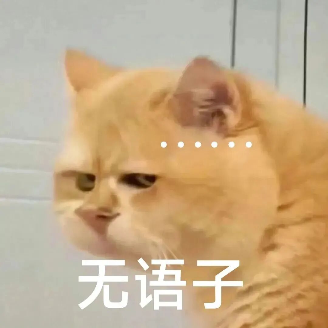 橘猫无奈嫌弃脸 配“无语子”满是无语感 好玩的表情包表情包图片gif动图 - 求表情网,斗图从此不求人!