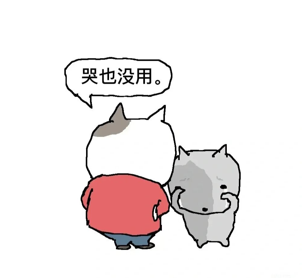 灰猫委屈哭泣,伙伴直言“哭也没用” 表情包积累表情包图片gif动图 - 求表情网,斗图从此不求人!