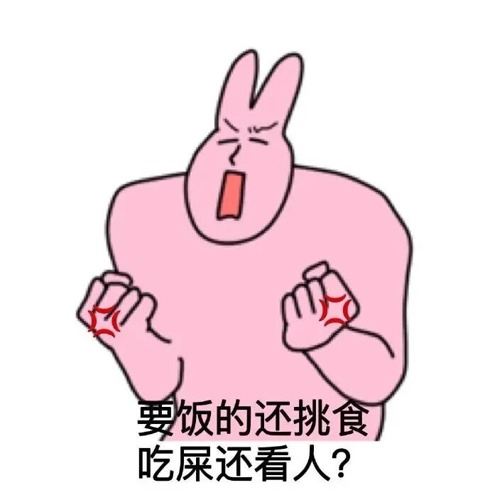 愤怒粉兔握拳吐槽:要饭还挑食,吃屎还看人? 阴阳怪气粉色兔子表情包表情包图片gif动图 - 求表情网,斗图从此不求人!