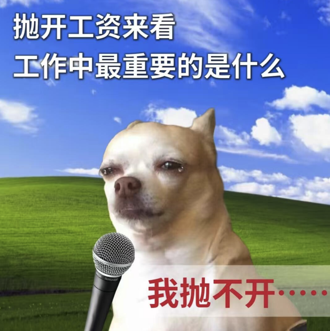 小狗含泪回应“抛开工资谈工作”:我抛不开! 表情包丨我不再笑了,我在学校了表情包图片gif动图 - 求表情网,斗图从此不求人!