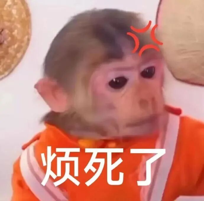 穿橙衣猴子烦躁皱眉,怒火+“烦死了”显厌烦 新鲜出炉的吗喽表情包表情包图片gif动图 - 求表情网,斗图从此不求人!
