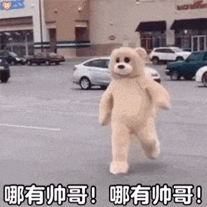 小熊玩偶服在停车场奔走，急喊“哪有帅哥” 表情包 | 我恨泥萌表情包图片gif动图 - 求表情网,斗图从此不求人!
