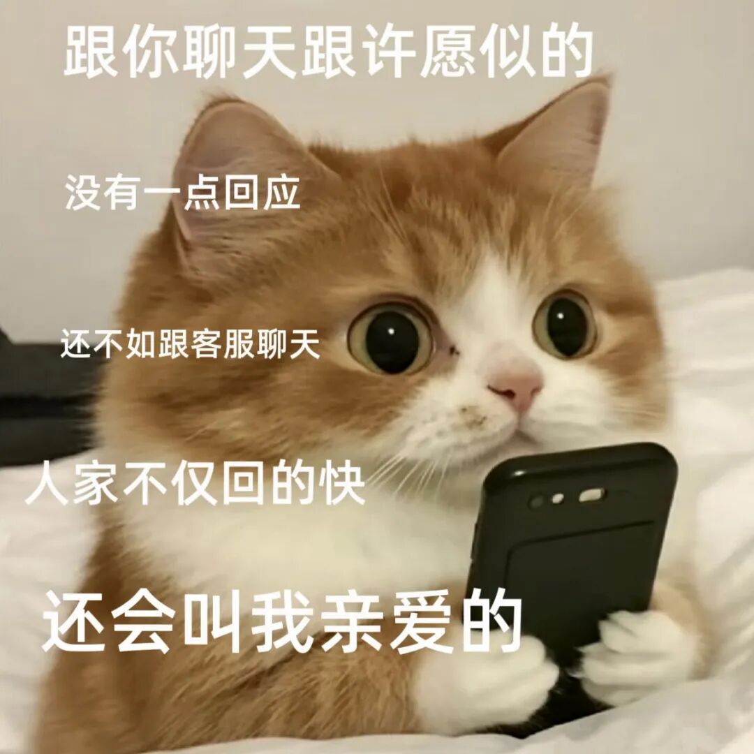 橘猫抱手机吐槽:聊天似许愿,客服回快还叫亲爱的 表情包丨你要我微信不表情包图片gif动图 - 求表情网,斗图从此不求人!