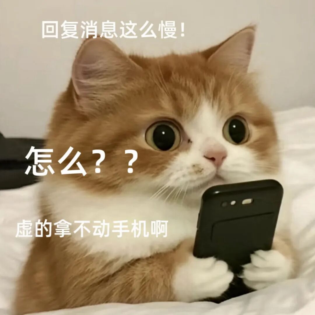 橘猫拿手机吐槽回复慢 调侃虚到拿不动手机 表情包丨你要我微信不表情包图片gif动图 - 求表情网,斗图从此不求人!