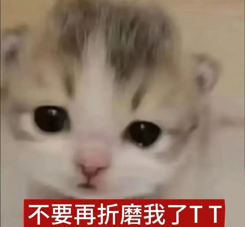 委屈小猫泪眼汪汪 哀求别再折磨我TT 低脂小猫表情包,meme又喵喵~Sticker GIF - Seeking an emoji ...
