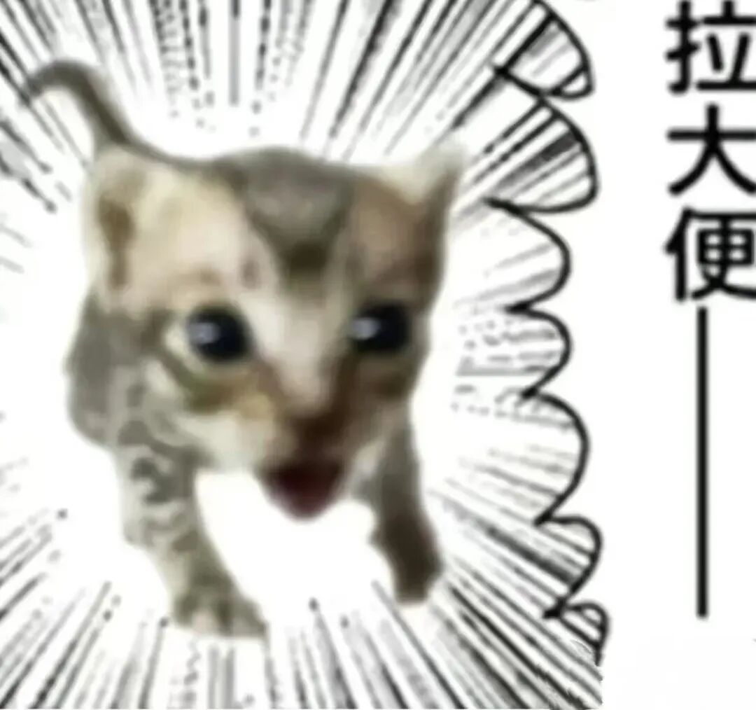 漫画风夸张小猫配“拉大便”文字,搞笑强调排便需求 低脂小猫表情包,meme又喵喵~表情包图片gif动图 - 求表情网,斗图从此不求人!