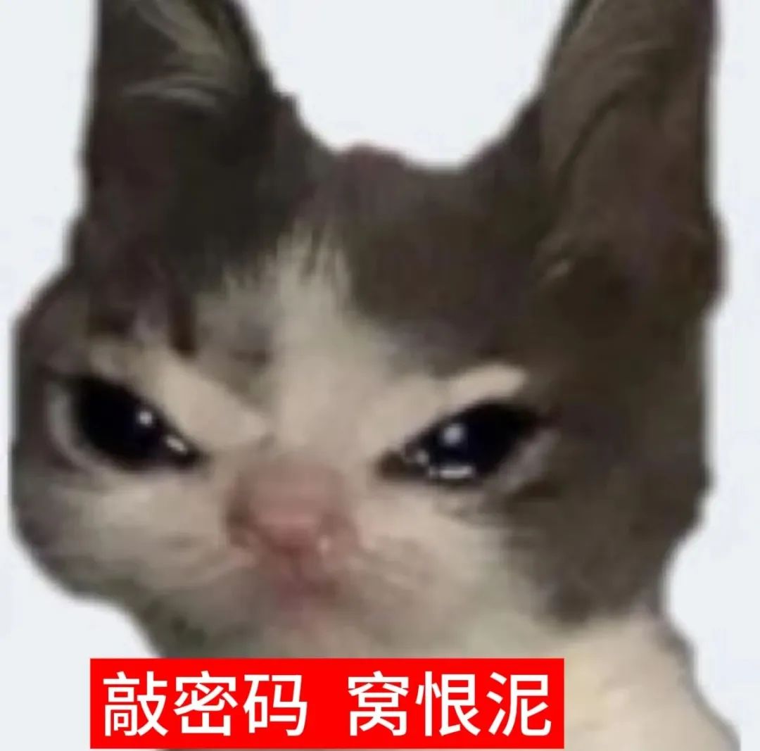 委屈小猫因敲密码怨念：窝恨泥（我恨你） 表情包｜我真的拴Q了表情包图片gif动图 - 求表情网,斗图从此不求人!