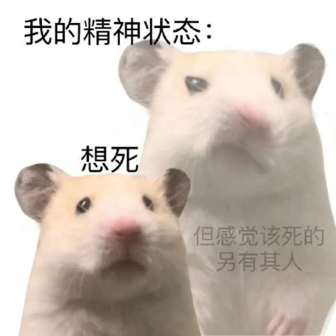 仓鼠表情包:我的精神状态——想死但该亖的另有其人 表情包:诶…嘿嘿…嘿表情包图片gif动图 - 求表情网,斗图从此不求人!