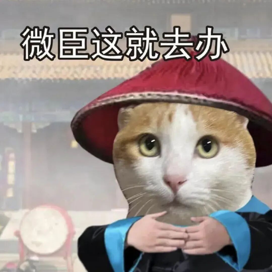 猫猫cos清朝臣子,恭敬领命“微臣这就去办” 表情包丨喝点丝瓜汤吧表情包图片gif动图 - 求表情网,斗图从此不求人!