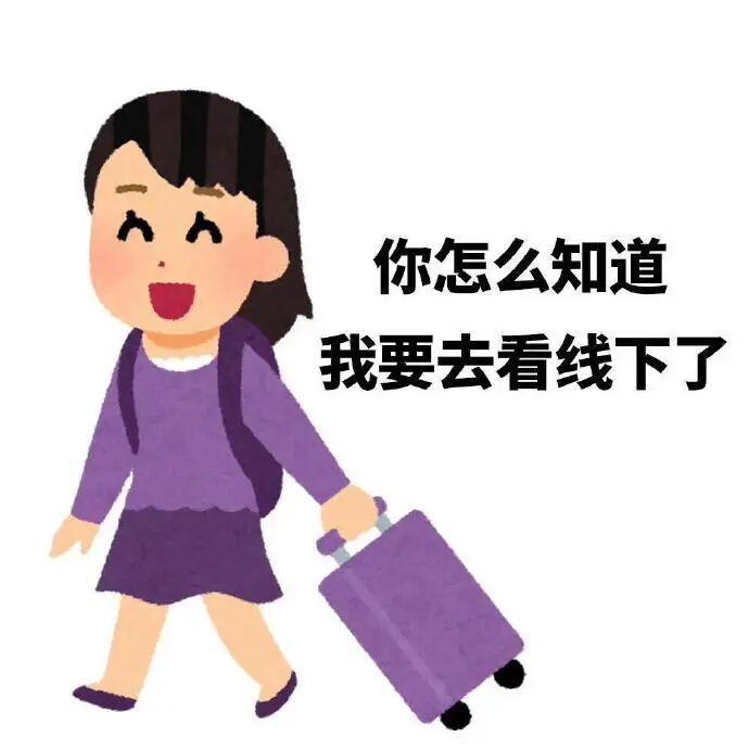 拉箱女孩开心反问:你怎知我去看线下啦 追星女孩的专用表情包!表情包图片gif动图 - 求表情网,斗图从此不求人!