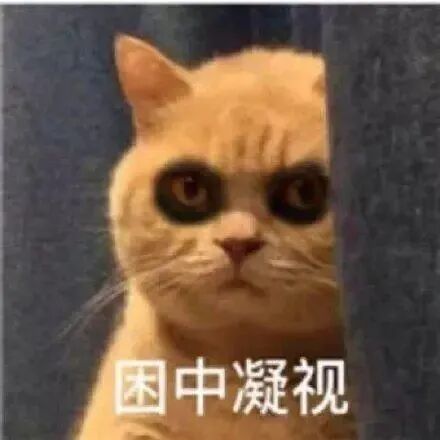 橘猫带黑眼圈困中凝视，疲惫又专注的模样 微信聊天表情包 实用率超高表情包图片gif动图 - 求表情网,斗图从此不求人!
