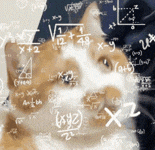 猫咪深陷数学公式阵,脑内满是知识点的学霸喵 表情包:和你天下第一好表情包图片gif动图 - 求表情网,斗图从此不求人!