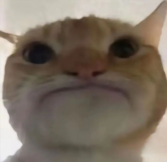 大脸橘猫瞪眼抿嘴，委屈巴巴的模样 发疯猫猫头系列表情包 猫咪表情包表情包图片gif动图 - 求表情网,斗图从此不求人!