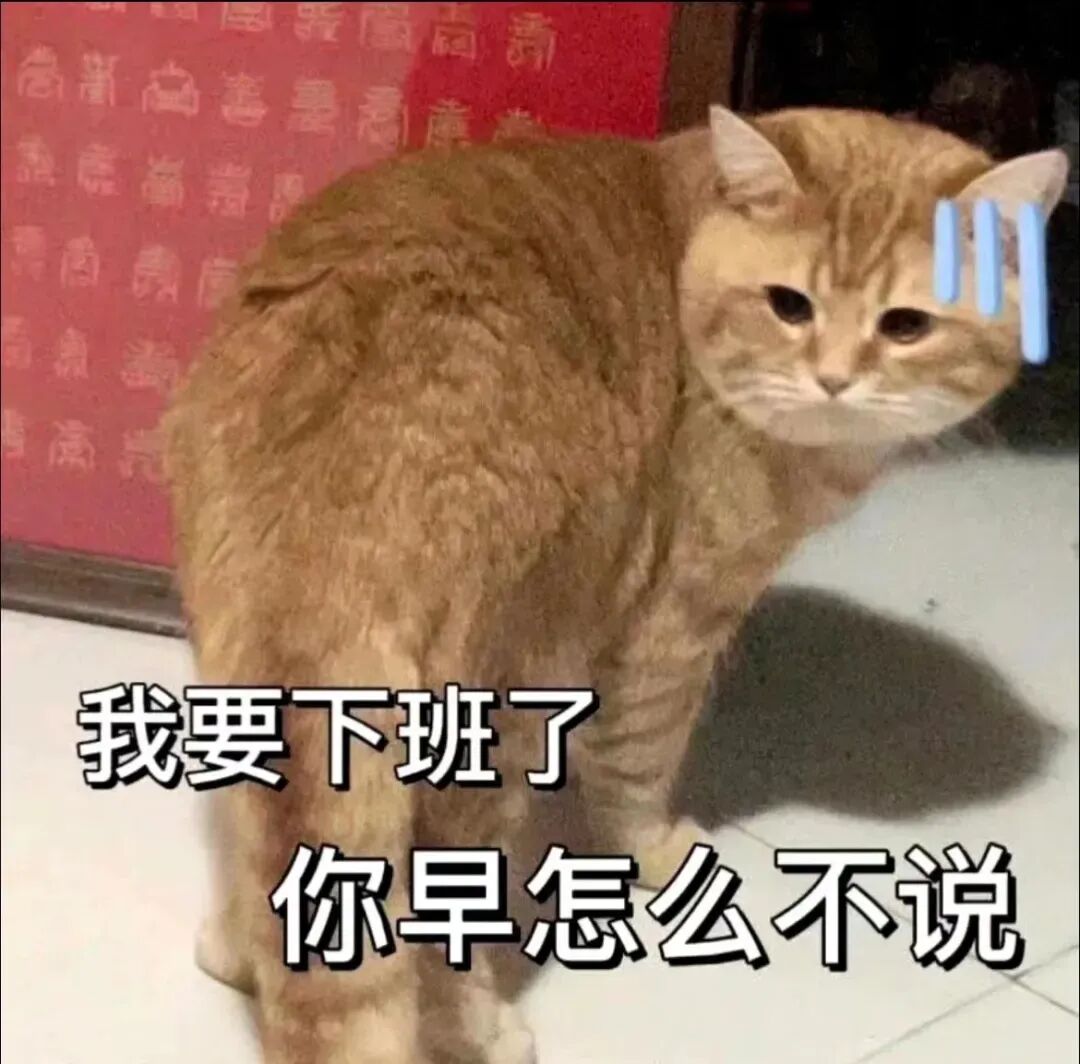橘猫不耐烦抱怨：我要下班了，你早怎么不说 职场表情包 过分好笑了！表情包图片gif动图 - 求表情网,斗图从此不求人!