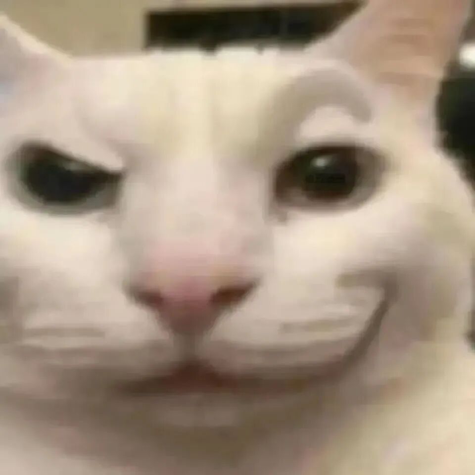 白猫歪嘴邪笑,一凶一笑搞怪感拉满 猫咪表情包:无法拒绝的meme抽象表情包表情包图片gif动图 - 求表情网,斗图从此不求人!